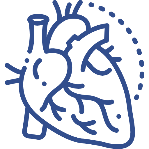 Cardiology