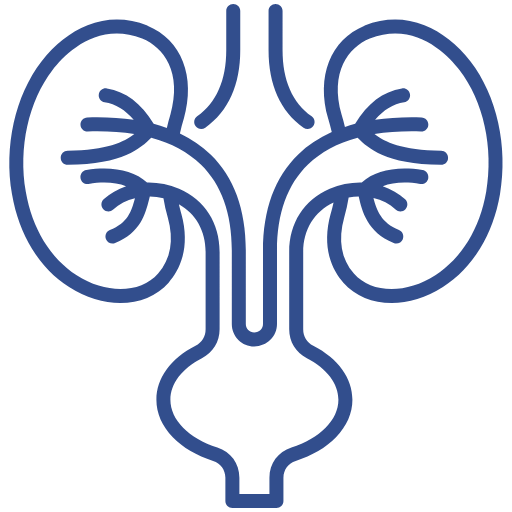 Urology
